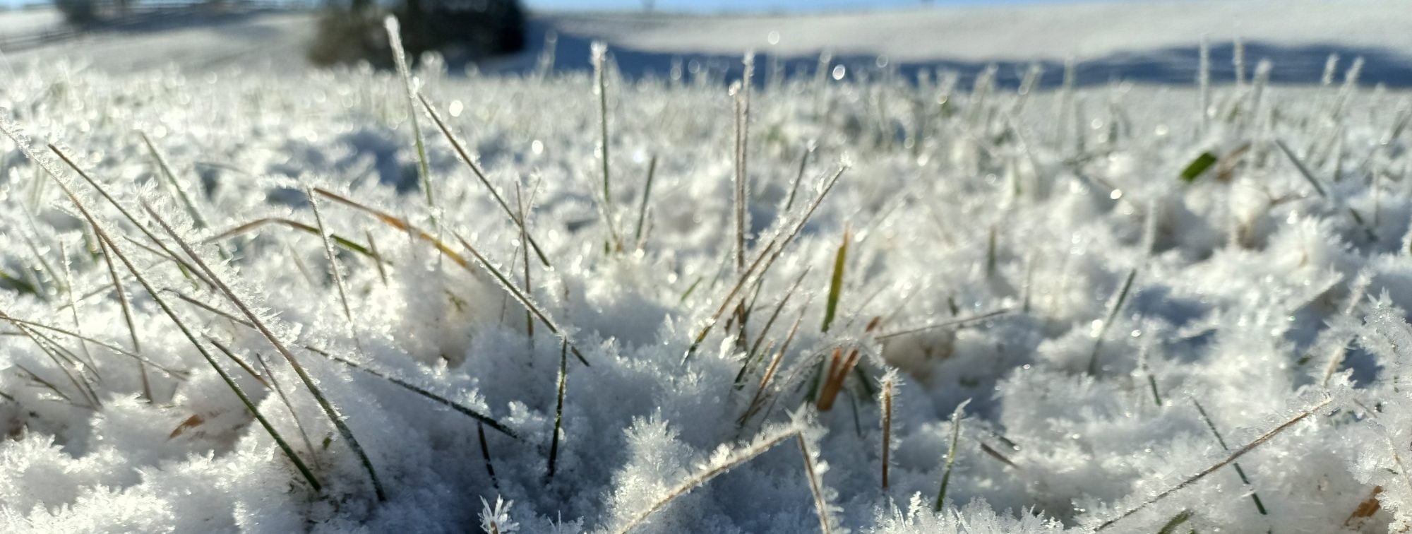 Praxis Dr. Bjarne Krebs Praxis Empfang